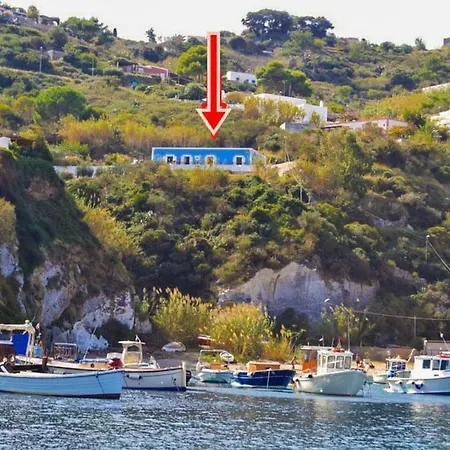 Maridea - Moscardino * Ponza