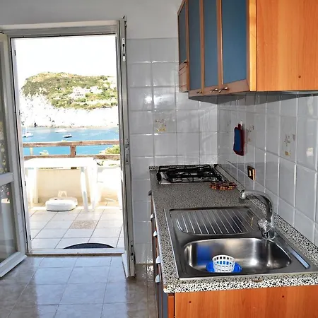 Maridea - Moscardino * Ponza